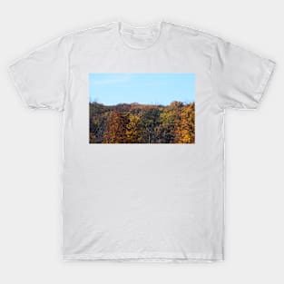 Autumn in Burgenland T-Shirt